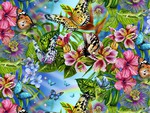 butterflies world