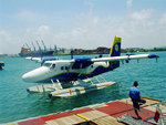 the sea plane
