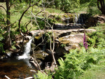 Blaen-y-glyn