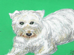 Drawing of a dog.