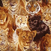 Big Cats