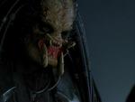 Predator - AVP
