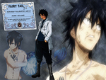 Gray Fullbuster