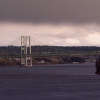 Tacoma Narrows 1