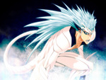 Espada Grimmjow