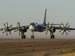 Tupolev Tu 95