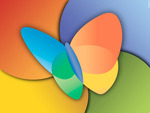 MSN Butterfly