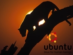 Ubuntu_Leopard_Sunset