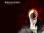 Kurosaki Ichigo Vizard
