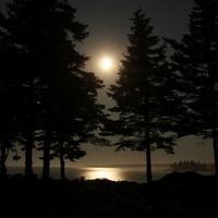 Mt. Desert Island, Maine