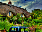 Thatched Garden
