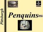 Pittsburgh Penquins