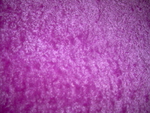 Pink Texture