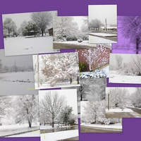 Texas Winter Wonderland!! ! 2010