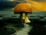 MUSHROOM HOUSE