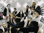 bleach captians