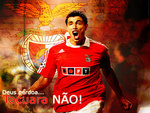 Cardozo wallpaper