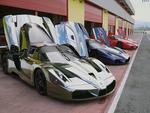 Ferrari Enzo FXX Chrome
