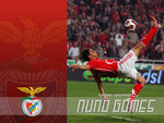 Nuno Gomes