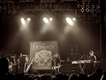 DOMMIN in concert