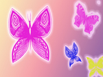 Butterflys Pinks