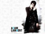 adam lambert