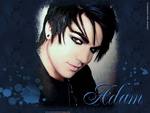 adam lambert