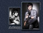 adam lambert