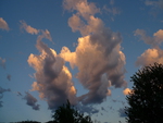 Wild Cloud Formation