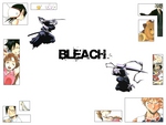 anime-group: Bleach