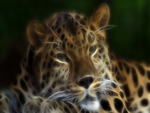 Big-Exotic-Cats-the-Extinction-of-the-Amur-Leopard-Fractalius-Art-Portrait