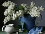 White Flowers in a Blue Pitcher