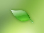 Leaf