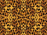 Leopard Pattern