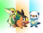 Pokemon - Unova Starters