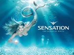 sensation