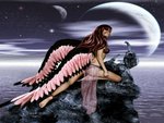 PINK & BLACK ANGEL WINGS