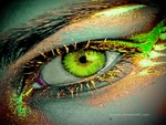Beauty green eye