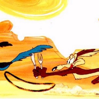 roadrunner and coyote