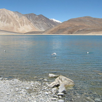 pangong lake ladakh india