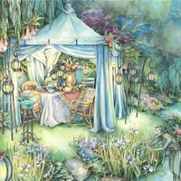 Dinner Under the Stars