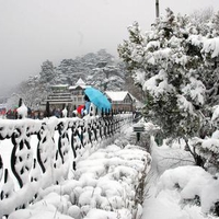 snowfall in shimla