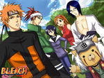 bleach/naruto