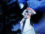 bleach shinigami captain hitsugaya