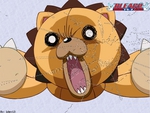 bleach kon