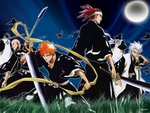 bleach the usual heroes