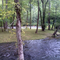 The river in summer