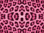 Pink Lepord