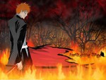 anime bleach ichigo kurosaki