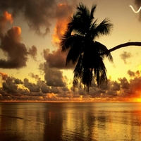 Sunset Vaio